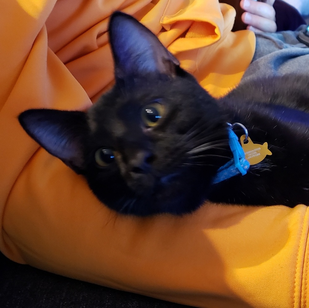 Meet your Posher, Sarah